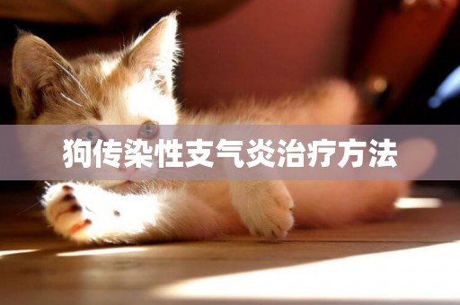狗傳染性支氣炎治療方法