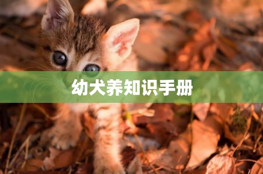 幼犬養知識手冊