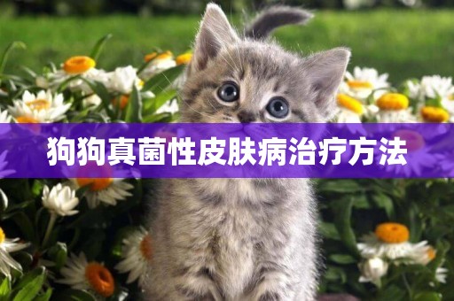 狗狗真菌性皮膚病治療方法