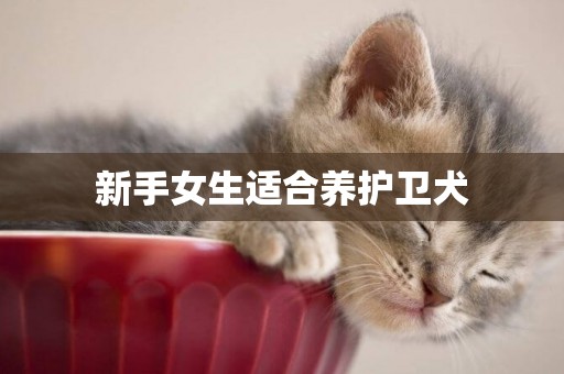 新手女生適合養護衛犬
