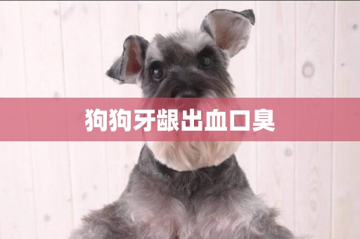 狗狗牙齦出血口臭