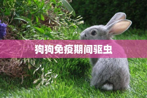 狗狗免疫期間驅蟲