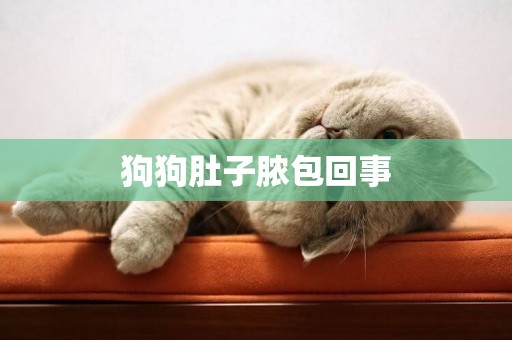 狗狗肚子膿包回事