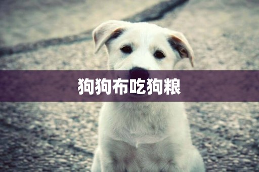 狗狗布吃狗糧