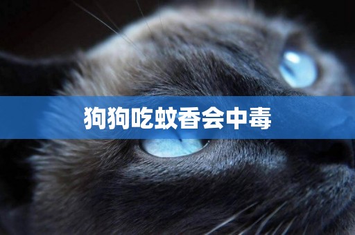 狗狗吃蚊香會中毒
