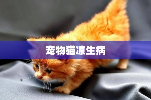 寵物貓涼生病