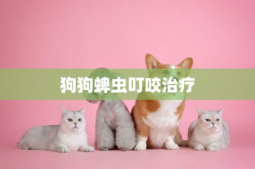 狗狗蜱蟲叮咬治療
