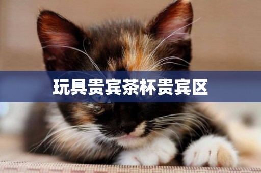 玩具貴賓茶杯貴賓區