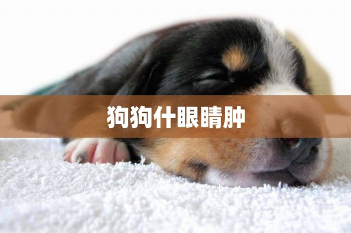狗狗什眼睛腫