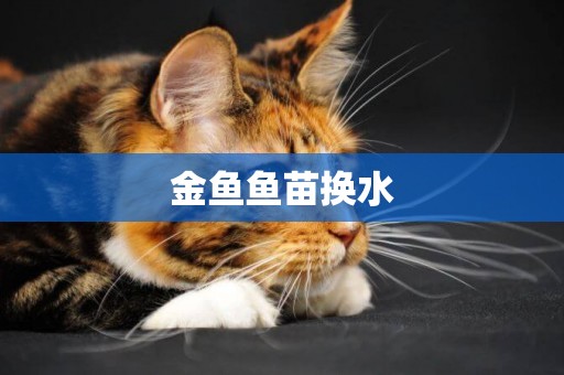 金魚魚苗換水
