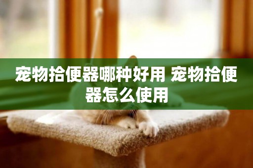 寵物拾便器哪種好用 寵物拾便器怎么使用
