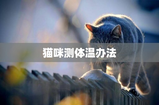 貓咪測體溫辦法