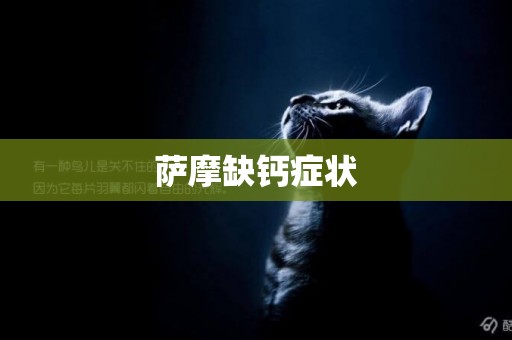 薩摩缺鈣癥狀