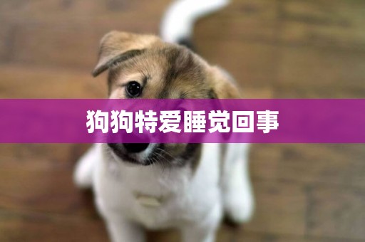 狗狗特愛睡覺回事