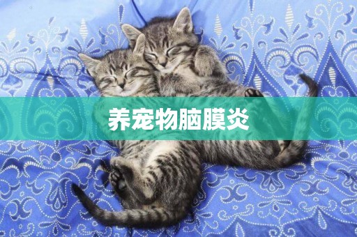 養寵物腦膜炎