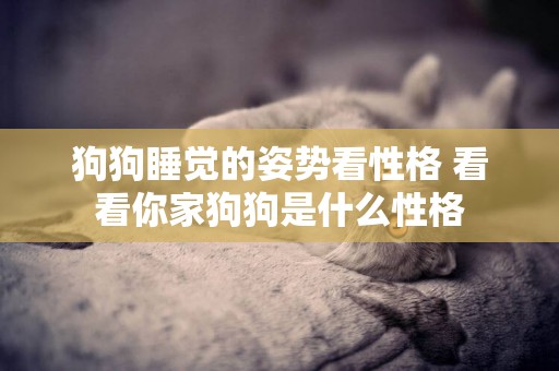 狗狗睡覺的姿勢看性格 看看你家狗狗是什么性格