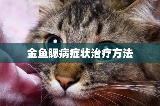 金魚腮病癥狀治療方法