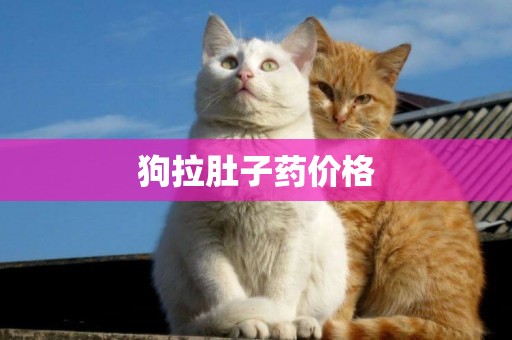 狗拉肚子藥價格