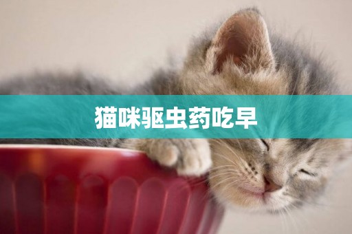 貓咪驅蟲藥吃早