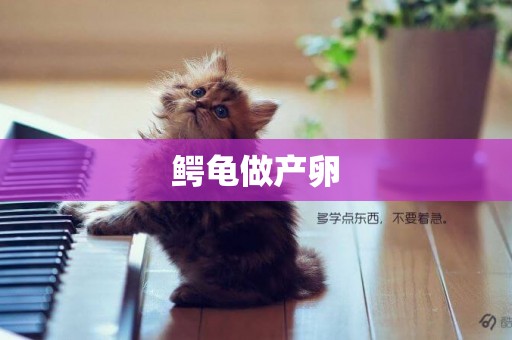 鱷龜做產卵