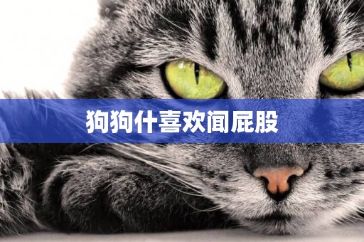 狗狗什喜歡聞屁股