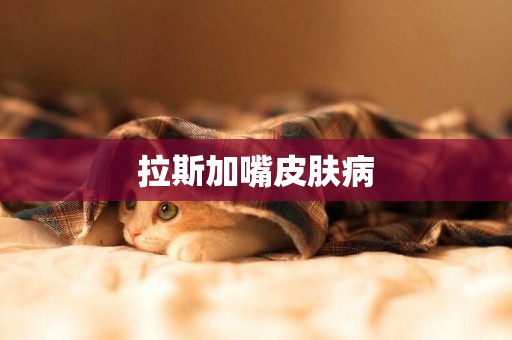 拉斯加嘴皮膚病