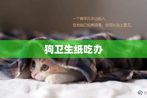 狗衛生紙吃辦