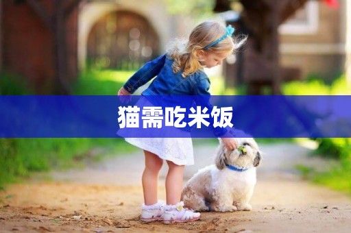 貓需吃米飯