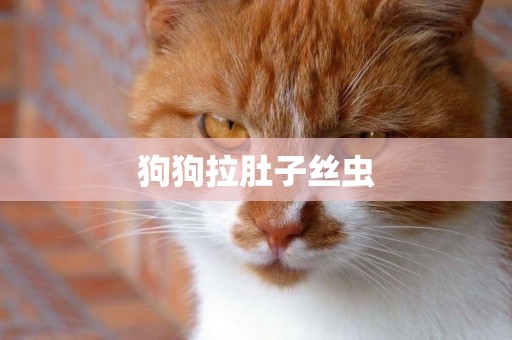 狗狗拉肚子絲蟲