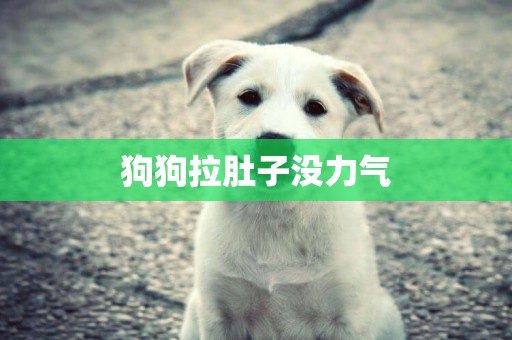 狗狗拉肚子沒力氣