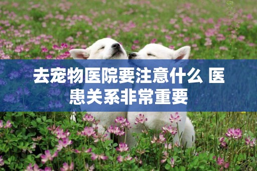 去寵物醫院要注意什么 醫患關系非常重要