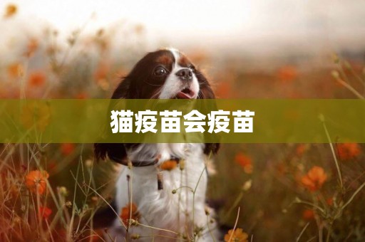 貓疫苗會疫苗