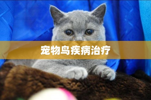 寵物鳥疾病治療