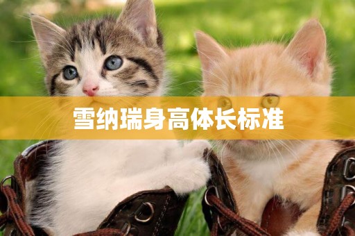 雪納瑞身高體長標準