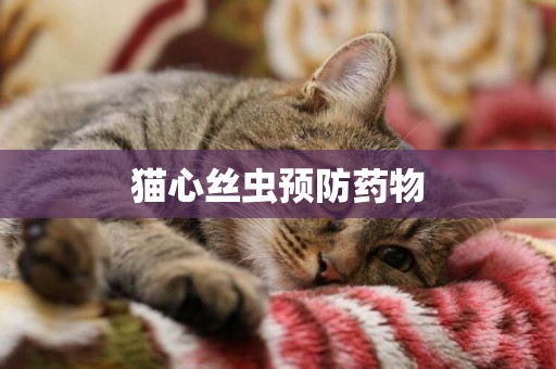 貓心絲蟲預防藥物
