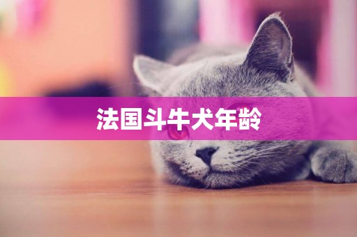 法國斗牛犬年齡