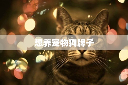 想養寵物狗牌子