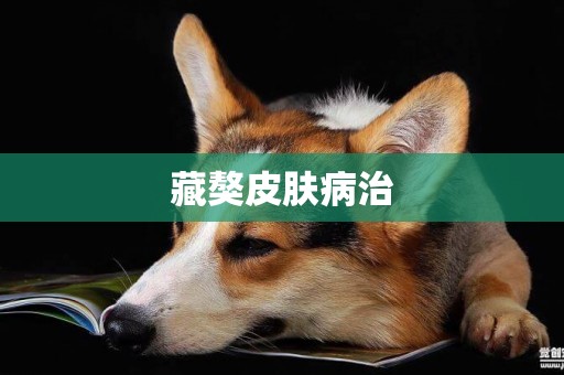 藏獒皮膚病治