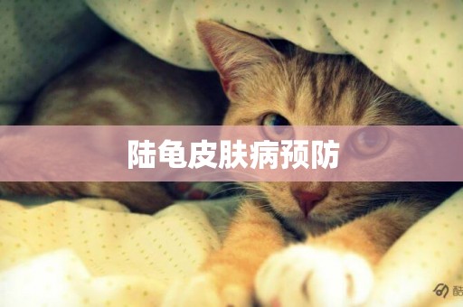 陸龜皮膚病預防