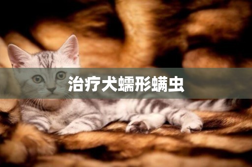 治療犬蠕形螨蟲
