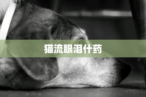 貓流眼淚什藥