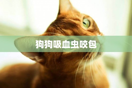 狗狗吸血蟲咬包