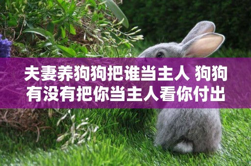 夫妻養狗狗把誰當主人 狗狗有沒有把你當主人看你付出多少