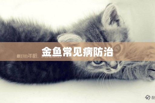 金魚常見病防治