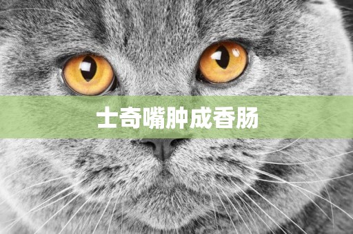 士奇嘴腫成香腸
