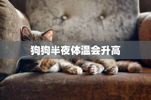 狗狗半夜體溫會升高