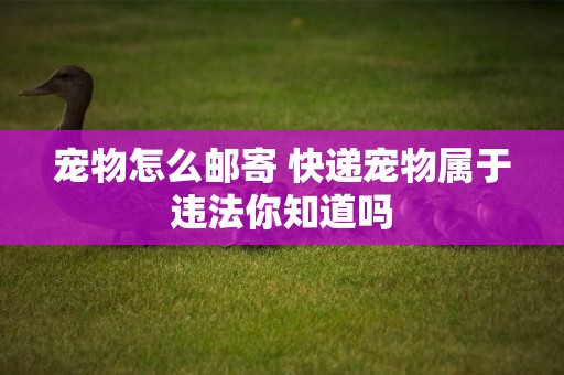 寵物怎么郵寄 快遞寵物屬于違法你知道嗎