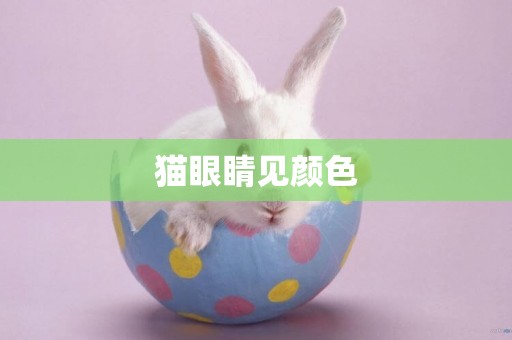 貓眼睛見顏色