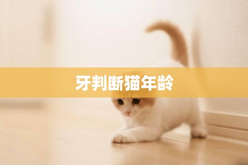 牙判斷貓年齡