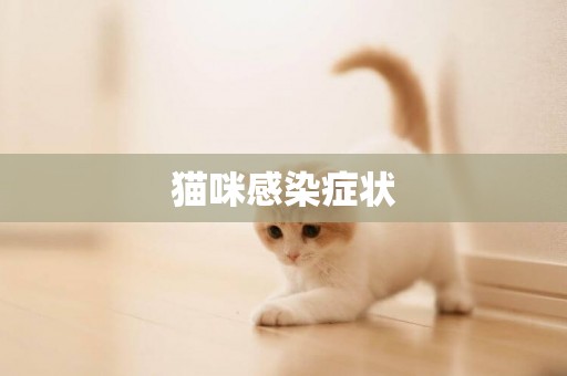 貓咪感染癥狀
